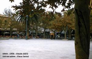 Sidi bel abbes 352